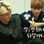 [<b>xoxo</b>] 얘네는무는거좋아하나봐ㅋㅋㅎㅎ