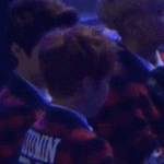 [시우민] 꽃가루로 장난치는 미니랑 루루.<b>gif</b>