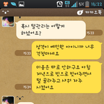 [고양이] 사람을 찾습니다