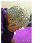 [EXO] 노인 <b>성폭행</b>의.심각성2