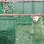 <b>바깥</b>세상 구경~~~