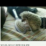 [유머] <b>무슨</b> 말이라도좀<b>해</b>봐.jpg
