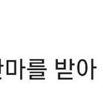 [EXO] 남다른 생각