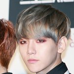 이거 엑소 다음 컨셉인거 같다. 난 이거 보자 <b>마자</b> 팍 ! 삘 꽂힘