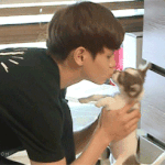 [비스트] <b>양갱</b>이 이녀석~!