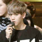 [exo] 엑소 팬썹..