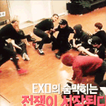 [EXO] 팬호구로보면