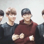 [백현] 멤버들한테 <b>팔짱</b>끼는 백현이