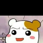 [<b>유머</b>] 커플에게 추천하는 짤.jpg