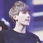 [EXO] 변백현턱선존나부러워
