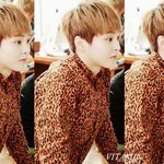 [시우민] <b>호피</b>무늬옷이란니닌