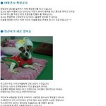 1월 26일 나주 <b>천사</b>의집 소식입니다