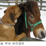 [소주와우유] 소주와 우유사이63편