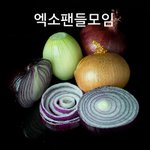 [EXO] <b>양파</b>