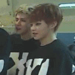 [시우민] 꼼질꼼질<b>대지</b>말란말이야 