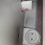 우담바라 <b>or</b> 풀잠자리알?