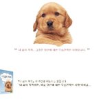 귀엽고 <b>감동</b>적인 강아지 이야기!