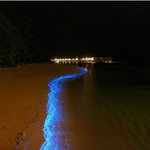 [유머] 몰디브<b>해변</b>.jpg