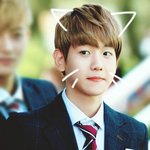 [백현] 변블리