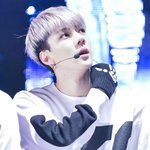 [<b>xoxo</b>] 애기애기한