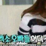 [EXO] 엑소 <b>폰기종</b> 뭐냐하면