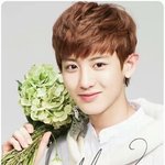[찬열] 이<b>사진</b>좀찾아줘<b>여</b>ㅠㅠㅠ