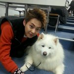 [시우민] <b>첨보</b>는 강아지랑 민석이 사진