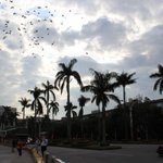 [대만여행] 행복했던 5박6일간의 나홀로대만여행2 [1일차-중정기념당...