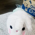 [봉쓰봉쓰] 태봉쓰 라이프2 - 누나 나 몰라?