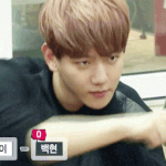 [EXO] 백현이이거팔 <b>설레</b>ㅠㅠㅠㅠㅠ나만설레나