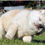 [미래] 잠을 청할려고 음악을 들어면서 눈을 감고 누웠는데?