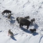 [신발끈놈들] 낸데야 신발끈아 니라도 초설랑 씨탱아 그래 제대로...