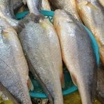 [<b>넘버</b>3] 사장님 저 밑에 깔렸어요