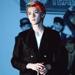 [EXO] 오늘 그 <b>동물</b>있는 코너를 지나갔는데