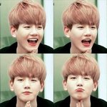 [백현] 너도언젠간높은선배가되겟지