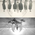 [BAP] 티저에 뼈 날개맞네 (수정)