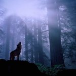 [천외천설랑] 공개되는 초설랑에 미스테리 우주 추진 과학 천상비에...