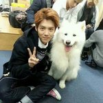 [EXO] 이거 뒤에 세훈이 맞엉?