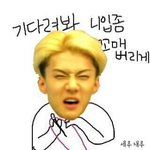 [EXO] ㄴㄴㄴㄴㄴㄴ꽃보다악개쟤딱봐도ㅠ
