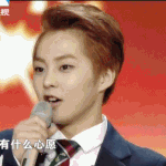 [시우민] 140129 후베이 춘절행사 움짤