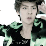 [EXO] <b>팬덤명</b>이 시급하다 