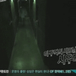 [시우민] 귀신이 <b>뻘쭘</b>해하는 움짤