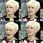 [비스트] 정신<b>정화</b>ㄱㄱ