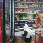 [EXO] 동네가게 침입한 아기<b>팬더</b>