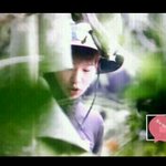 [샤이니] <b>사생</b>때메트위터난리다 온유 정글의법칙 프리뷰래ㄷㄷ