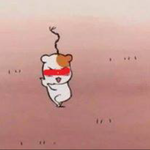 벌레사진올리니깐 자꾸 짤<b>린다</b>