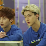 [EXO] 세훈이랑 시우민 둘이<b>투</b><b>샷</b> 좋음
