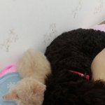 [임보일기] 임보일기 그후 ㅋ