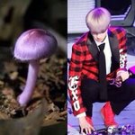 [EXO] 세훈이 이 머리 너무 똑같애욬ㅋㅋ