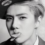 [EXO] 엑소가 <b>친척</b>인 얘들 엑소오면 무슨생각들까